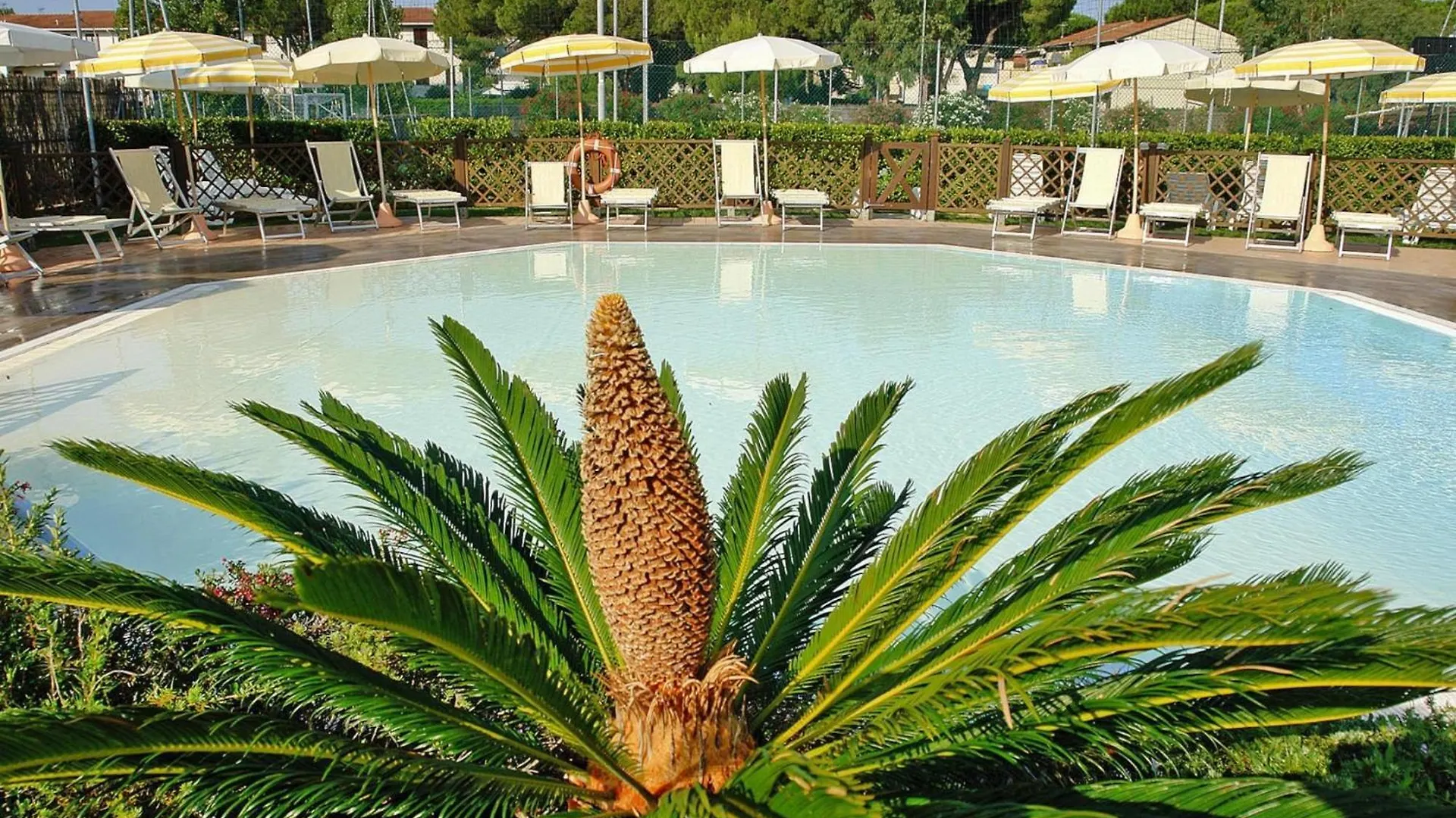 Apartment In Vada Near Restaurants La Cinquantina 0*,